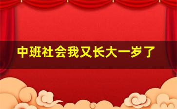 中班社会我又长大一岁了