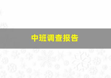 中班调查报告