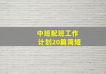 中班配班工作计划20篇简短