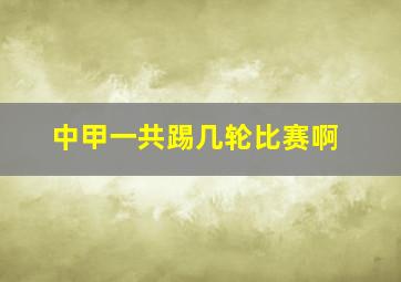 中甲一共踢几轮比赛啊