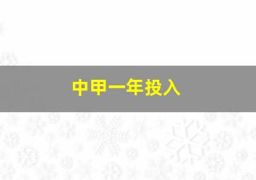 中甲一年投入