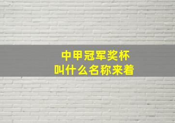 中甲冠军奖杯叫什么名称来着