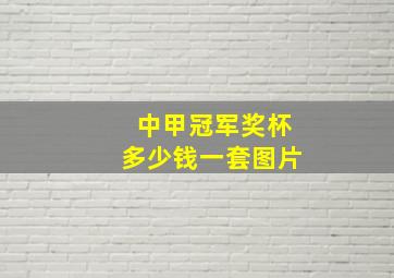 中甲冠军奖杯多少钱一套图片