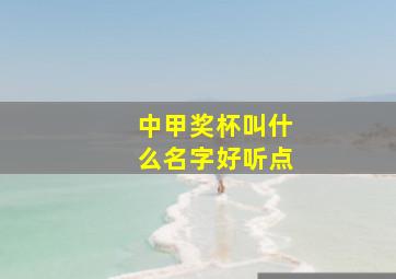 中甲奖杯叫什么名字好听点