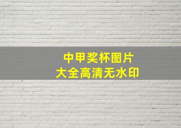 中甲奖杯图片大全高清无水印