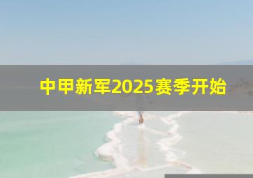 中甲新军2025赛季开始