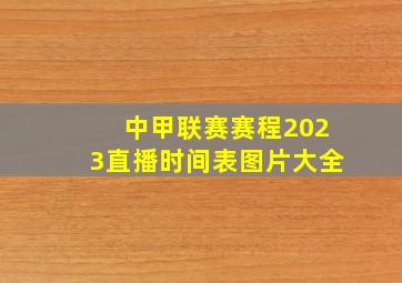 中甲联赛赛程2023直播时间表图片大全