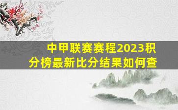 中甲联赛赛程2023积分榜最新比分结果如何查