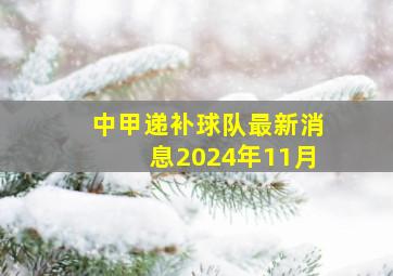 中甲递补球队最新消息2024年11月