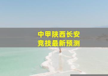 中甲陕西长安竞技最新预测