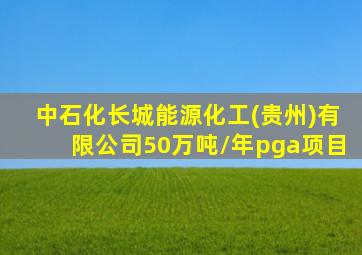 中石化长城能源化工(贵州)有限公司50万吨/年pga项目