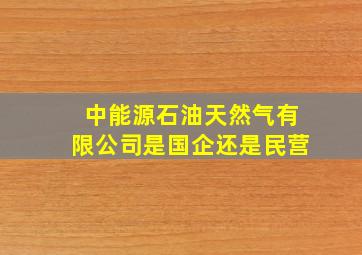 中能源石油天然气有限公司是国企还是民营