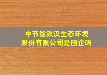 中节能铁汉生态环境股份有限公司是国企吗