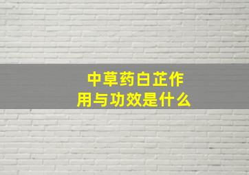 中草药白芷作用与功效是什么