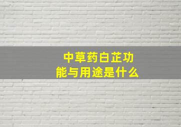 中草药白芷功能与用途是什么