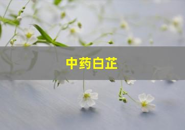 中药白芷