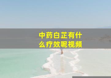 中药白芷有什么疗效呢视频