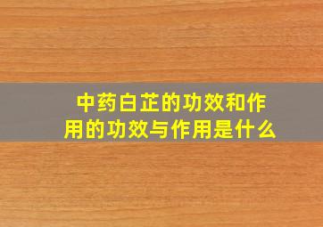 中药白芷的功效和作用的功效与作用是什么