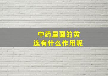 中药里面的黄连有什么作用呢