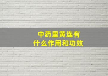 中药里黄连有什么作用和功效