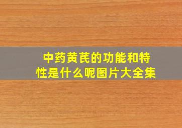 中药黄芪的功能和特性是什么呢图片大全集