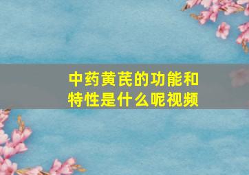 中药黄芪的功能和特性是什么呢视频