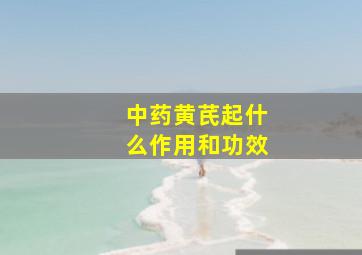 中药黄芪起什么作用和功效