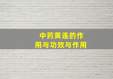 中药黄连的作用与功效与作用