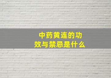 中药黄连的功效与禁忌是什么