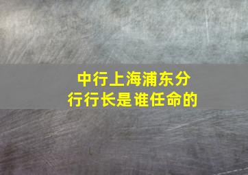 中行上海浦东分行行长是谁任命的