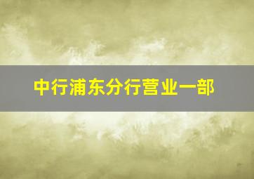 中行浦东分行营业一部