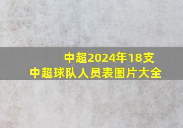 中超2024年18支中超球队人员表图片大全