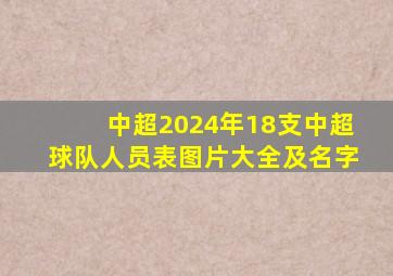 中超2024年18支中超球队人员表图片大全及名字