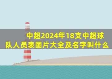 中超2024年18支中超球队人员表图片大全及名字叫什么