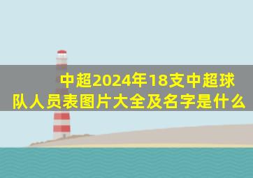 中超2024年18支中超球队人员表图片大全及名字是什么