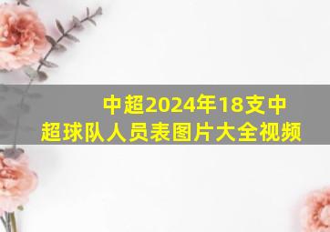 中超2024年18支中超球队人员表图片大全视频