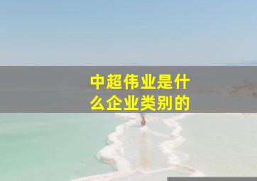 中超伟业是什么企业类别的