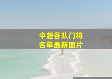 中超各队门将名单最新图片