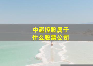 中超控股属于什么股票公司