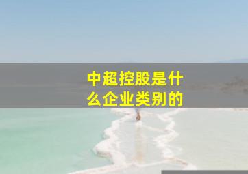 中超控股是什么企业类别的