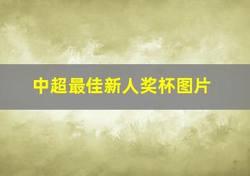 中超最佳新人奖杯图片