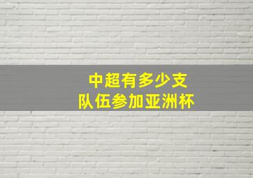 中超有多少支队伍参加亚洲杯