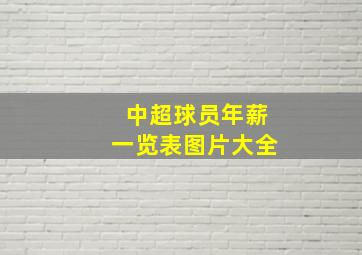 中超球员年薪一览表图片大全