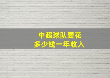 中超球队要花多少钱一年收入