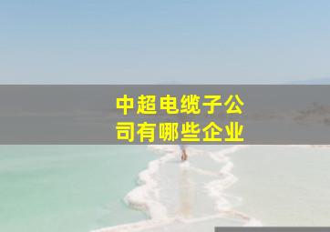 中超电缆子公司有哪些企业