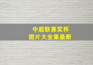 中超联赛奖杯图片大全集最新