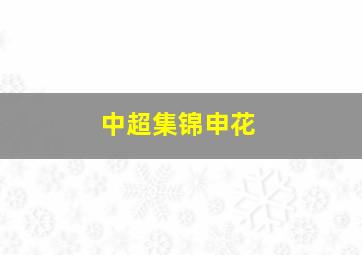 中超集锦申花