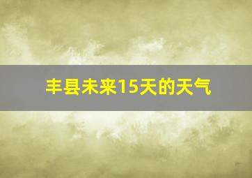 丰县未来15天的天气