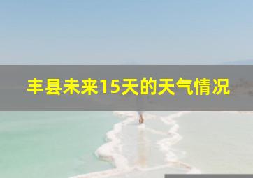 丰县未来15天的天气情况