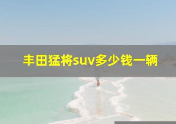 丰田猛将suv多少钱一辆